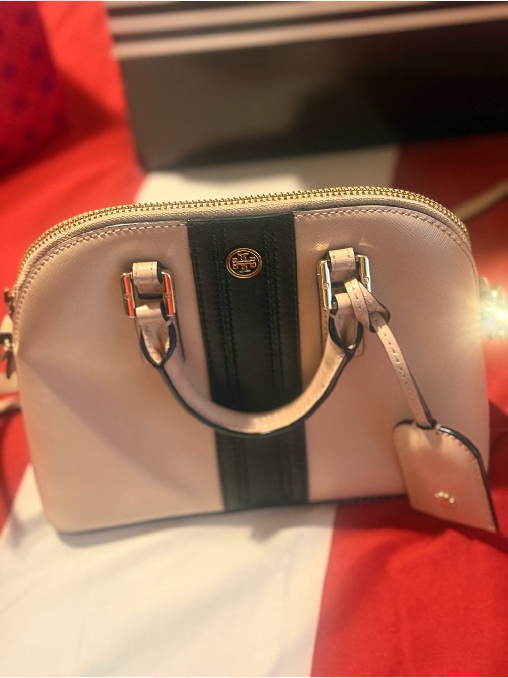 Tory Burch Blush Dome Satchel with Black Center Stripe